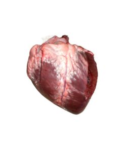 Frozen Beef Heart